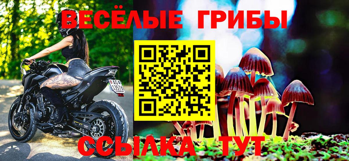 Псилоцибиновые грибы мицелий Соль-Илецк