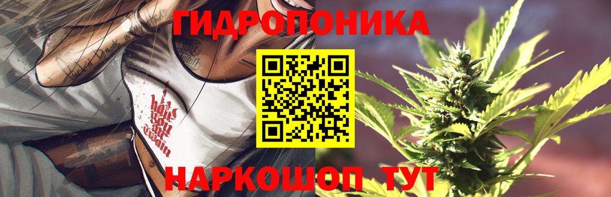 Соль-Илецк  Бошки Шишки конопля  Вход с VPN  Каннабис Amnesia 